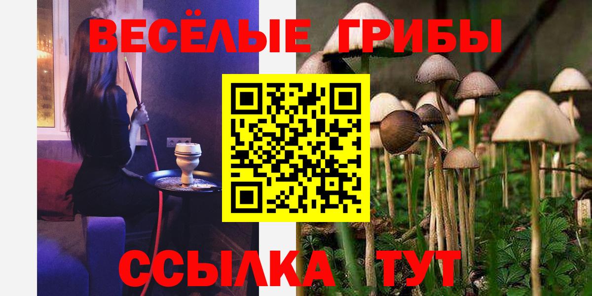 Лениногорск  Галлюциногенные грибы Psilocybe  Вход с VPN  купить наркоту  Псилоцибиновые грибы Psilocybine cubensis 